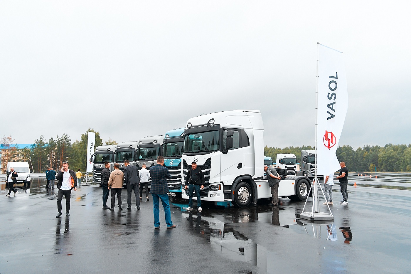 dfcv vasol